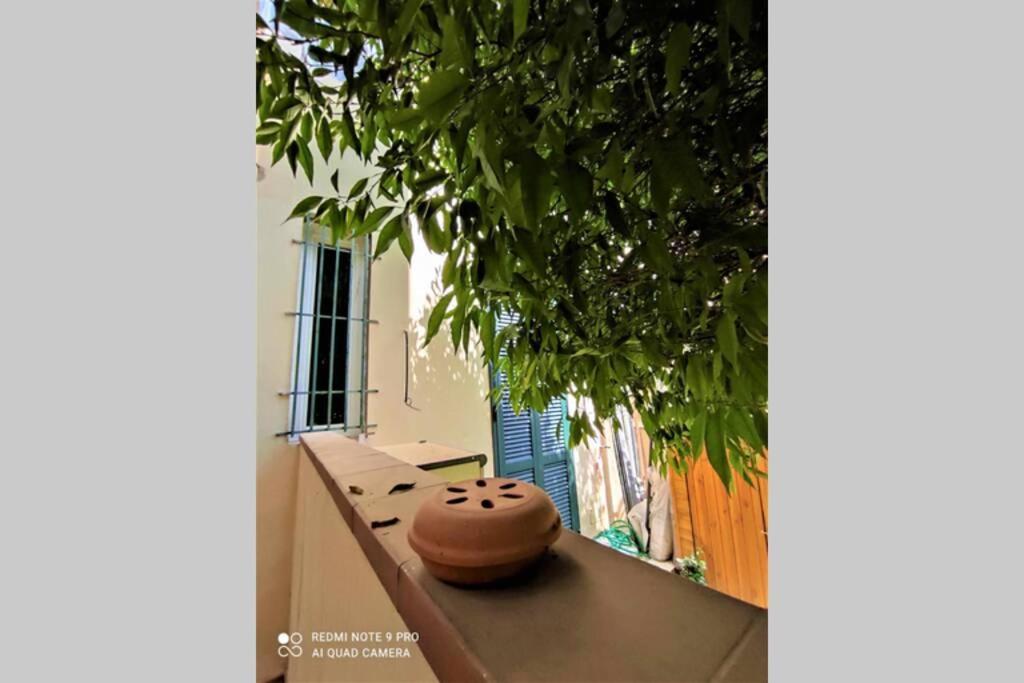 Home Careggi Floransa Dış mekan fotoğraf